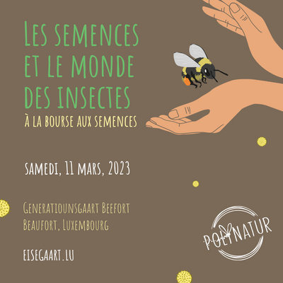 Semences et insectes 11.03.2023