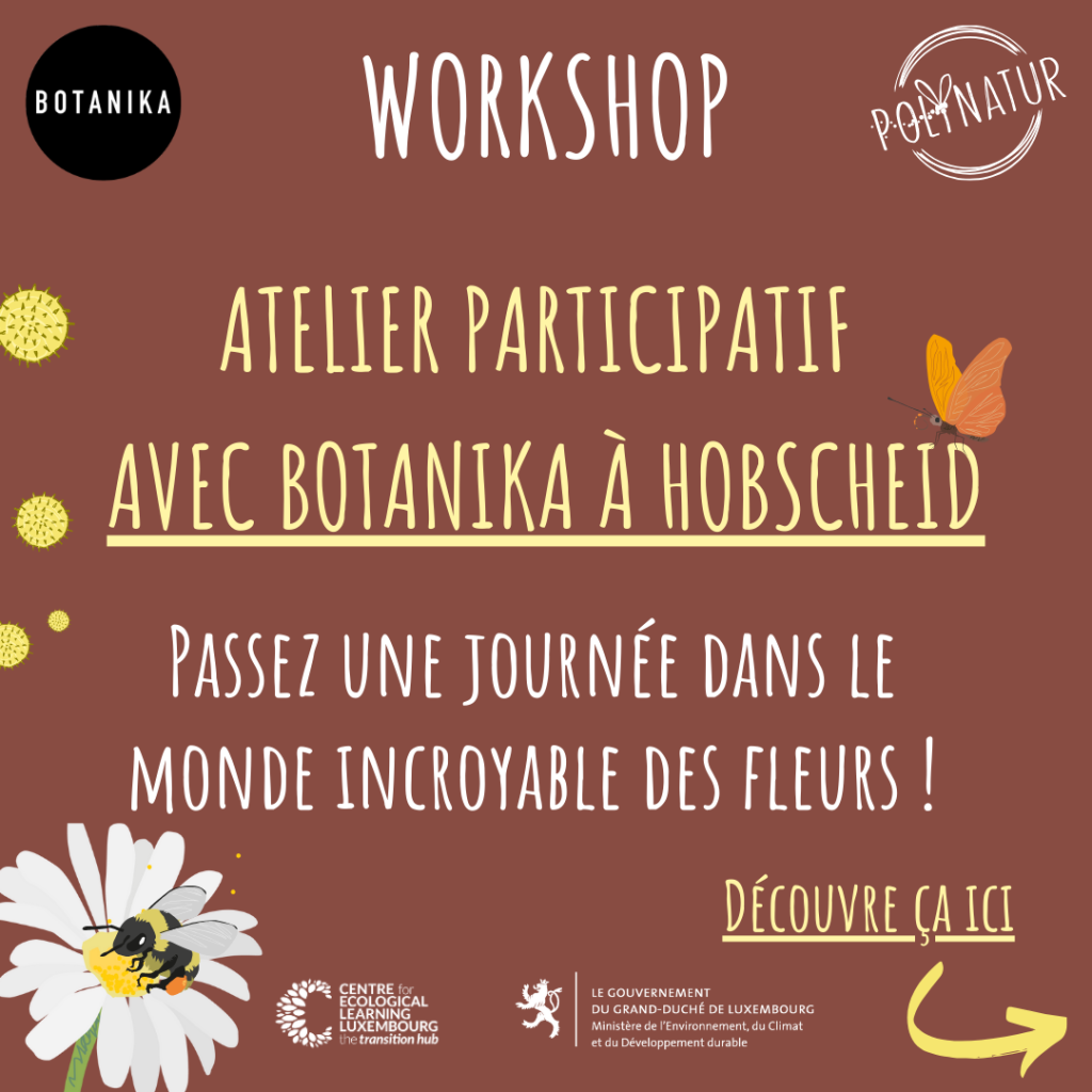 Atelier participatif à Botanika